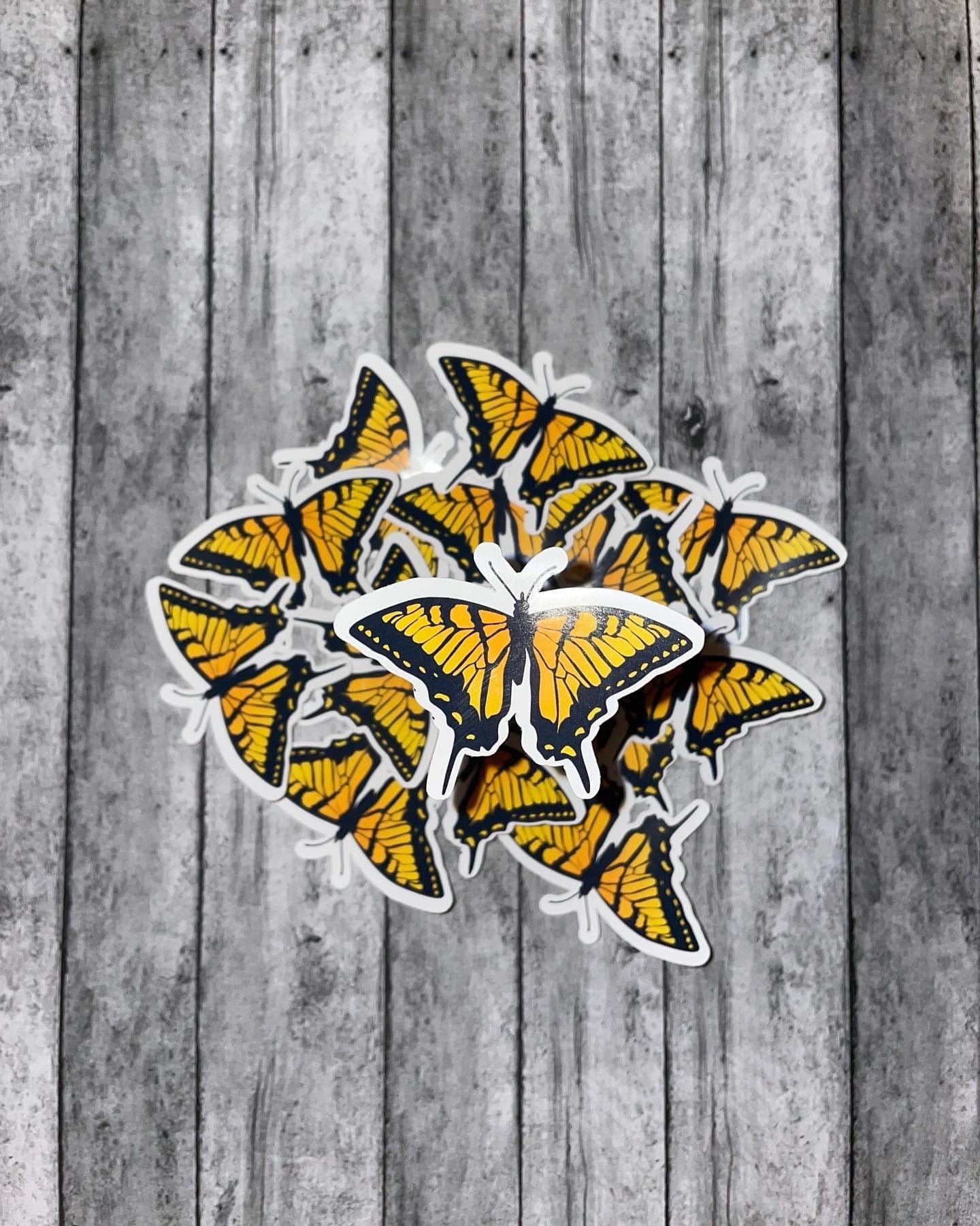 Orange butterfly