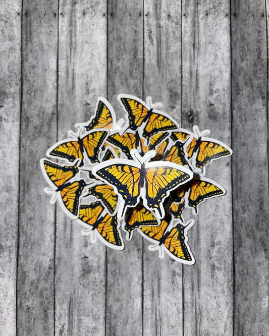 Orange butterfly