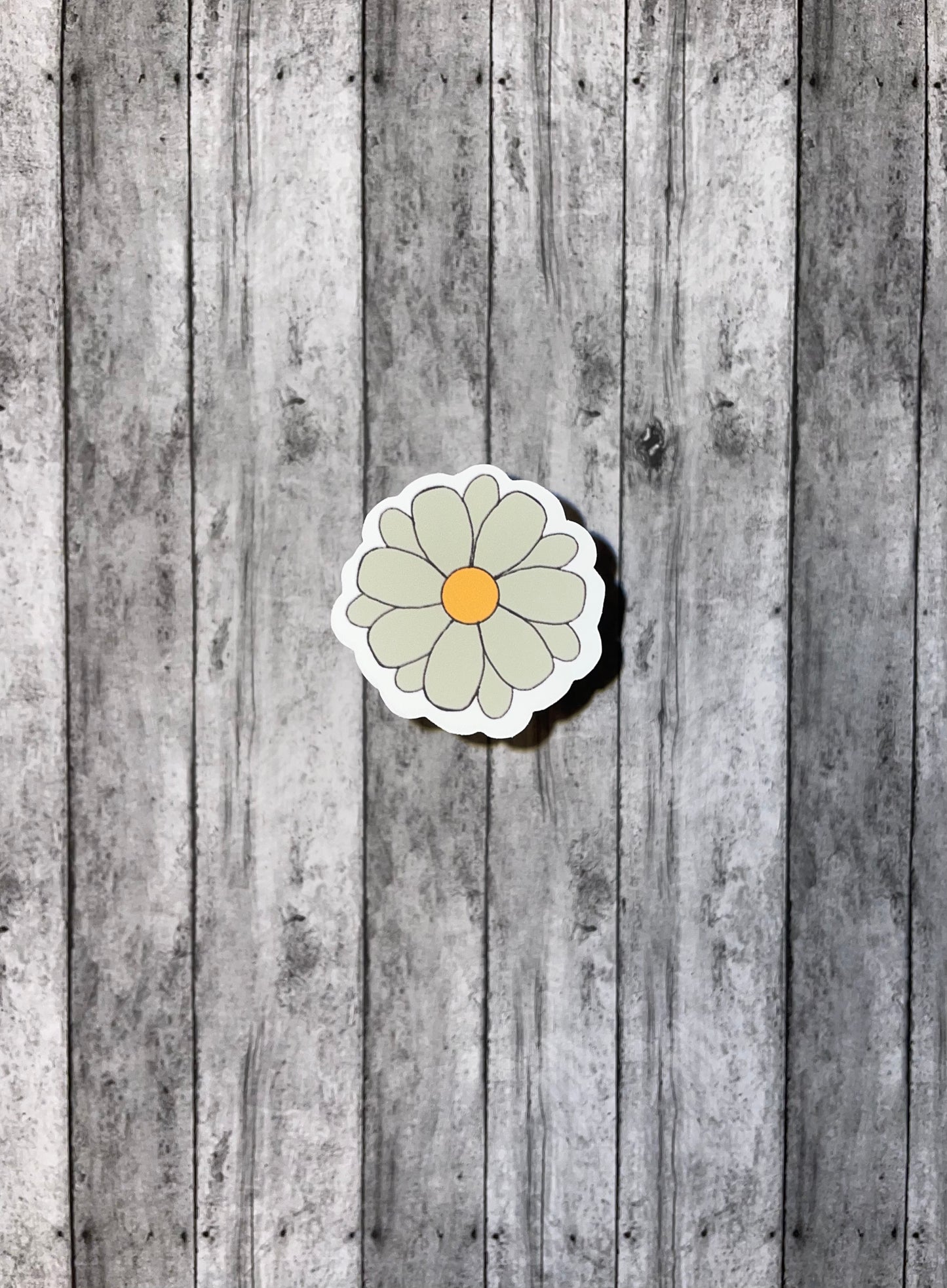 Daisy
